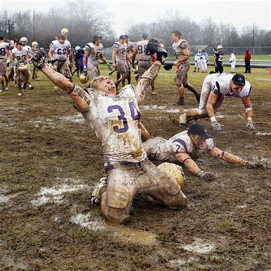 法律法规 法律法规